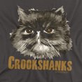 thumbnail image 2 of Harry Potter Crookshanks Women's T Shirt, Charcoal, Large, 2 of 6