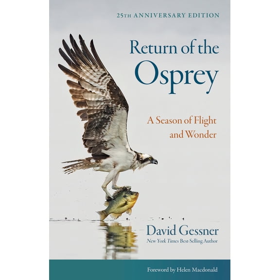 Pre-Owned Return of the Osprey: A Season of Flight and Wonder (Paperback) 1501783742 9781501783746