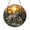 Acrylic 3.5 Inch, variant on Wildlife Wolf Family Stained Glass Window Art River Landscape Scene Decorative Glass Suncatcher Featuring Adult Wolf and Young Cubs