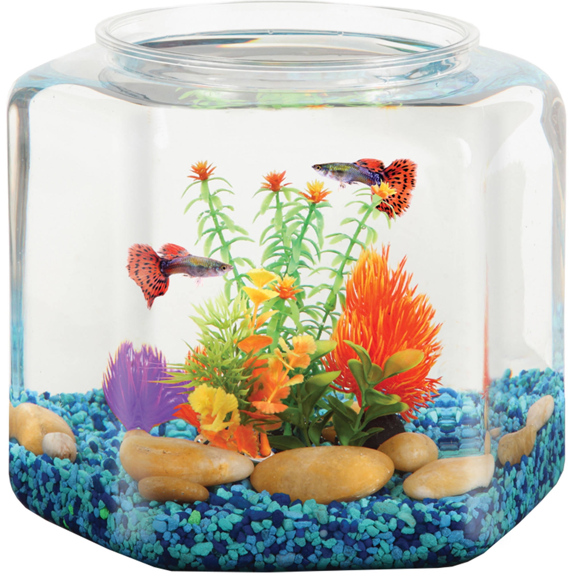 Hawkeye 2-Gallon Hexagon Fish Bowl, Ideal for Wedding Receptions,  Centerpieces, and Party Events