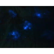 Chemiluminescence in Blood Stain Detection Forensic Kit
