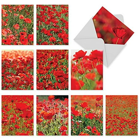 'M3019 POPPY LOVE' 10 Assorted Thank You Cards Featuring Sunny Fields of Picture-Perfect Poppies with Envelopes by The Best Card