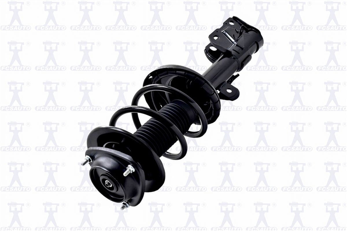 Suspension Strut and Coil Spring Assembly