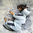 thumbnail image 2 of Ropa para mascotas Bulldog francés cachorro perro disfraz mascota mono Chihuahua Pug mascotas perros ropa para perros pequeños medianos cachorro traje Tan Jianjun unisex, 2 of 2