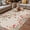 Light Beige Light Pink Rose Red, variant on Valentine's Day Outdoor Rug for Patio/Deck/Porch, Non-Slip Large Area Rug 6 x 9 Ft, Watercolor Love Flowers Leaves Plants Beige Indoor Outdoor Rugs Washable Area Rugs, Camping Rug Carpet Runner