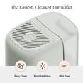 thumbnail image 2 of Humidificador de cabecera con toldo 2.0, blanco, 36 horas de funcionamiento, 2,5 L, 2 of 9