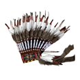 thumbnail image 1 of Tocado de plumas artificiales, tocado de disfraz de jefe para cosplay, disfraces, 1 of 9