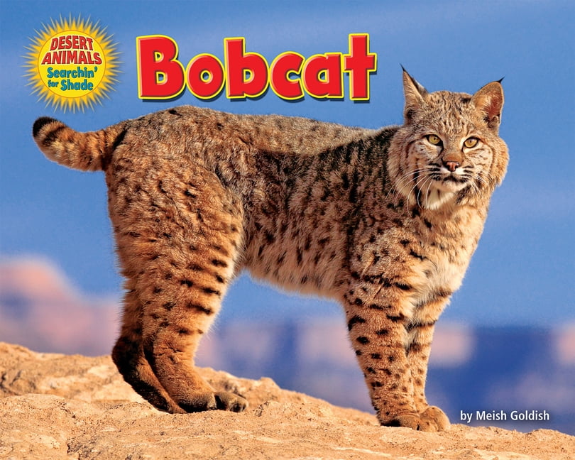 Desert Animals Searchin' for Shade: Bobcat (Paperback) 