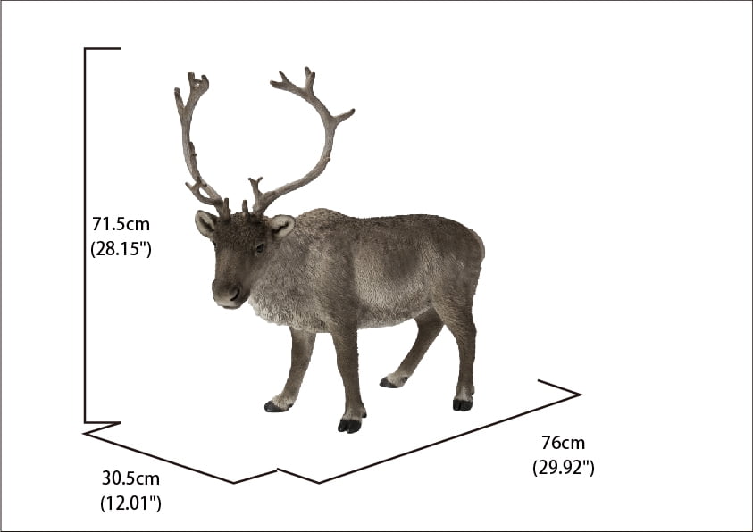 REINDEER STANDING