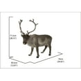 thumbnail image 2 of REINDEER STANDING, 2 of 2