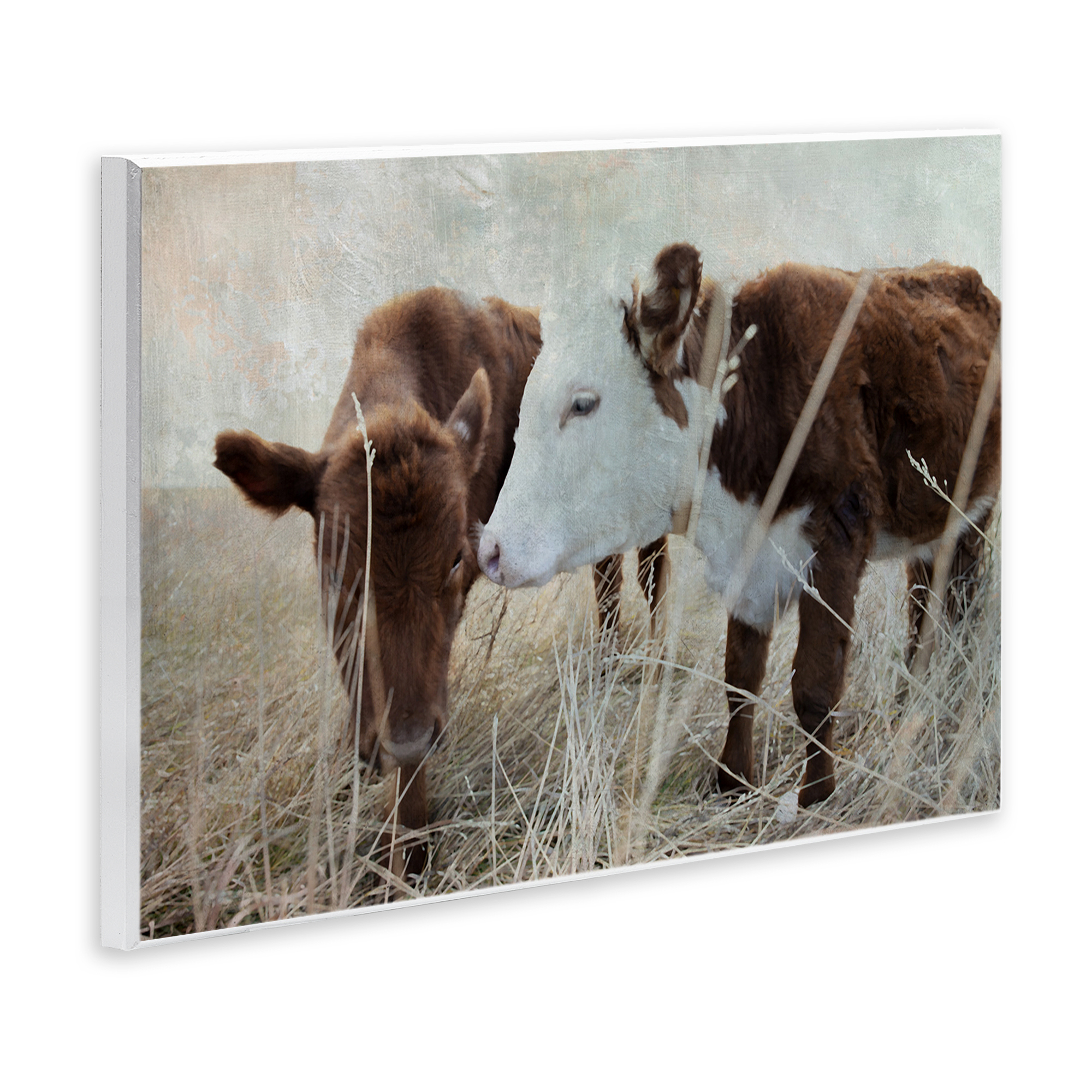 Stupell Industries Baby Calf Pair in Grass Animals & Insects Photography Unframed Art Print Wall Art, 19 x 13