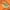 Tangerine, variant on Lush Decor Royal Empire Duvet Cover - Tangerine - Full/Queen