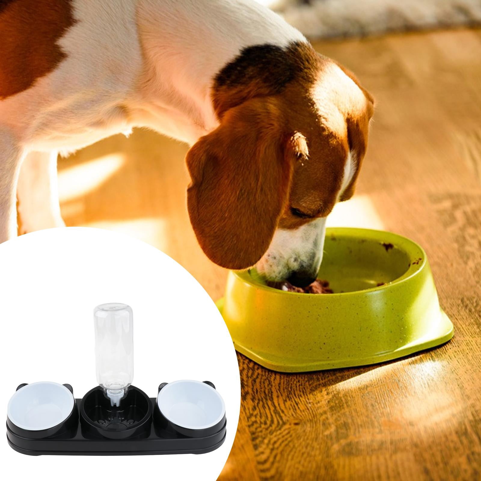 Cat Water Food Bowl Automatic Feeder Tilted Raised PP Material Easy Cleaning for Indoor Cats and Small Dogs