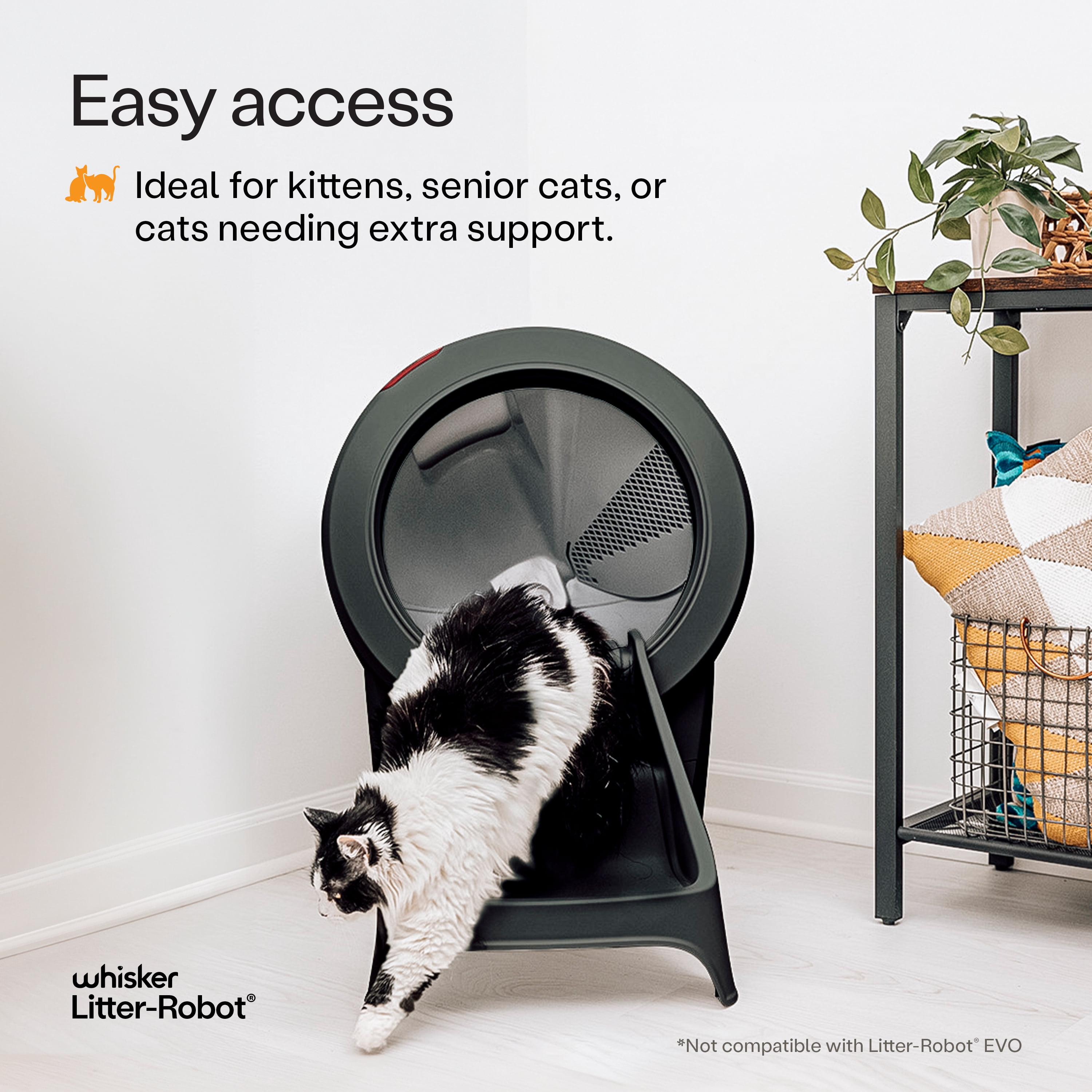Litter-Robot 4 Ramp by Whisker, Black - Cat Ramp for Litter Box, Custom Fit for Litter-Robot 4, Non-Slip Rubber Feet, Suitable for Small & Older Cats, Made in the USA