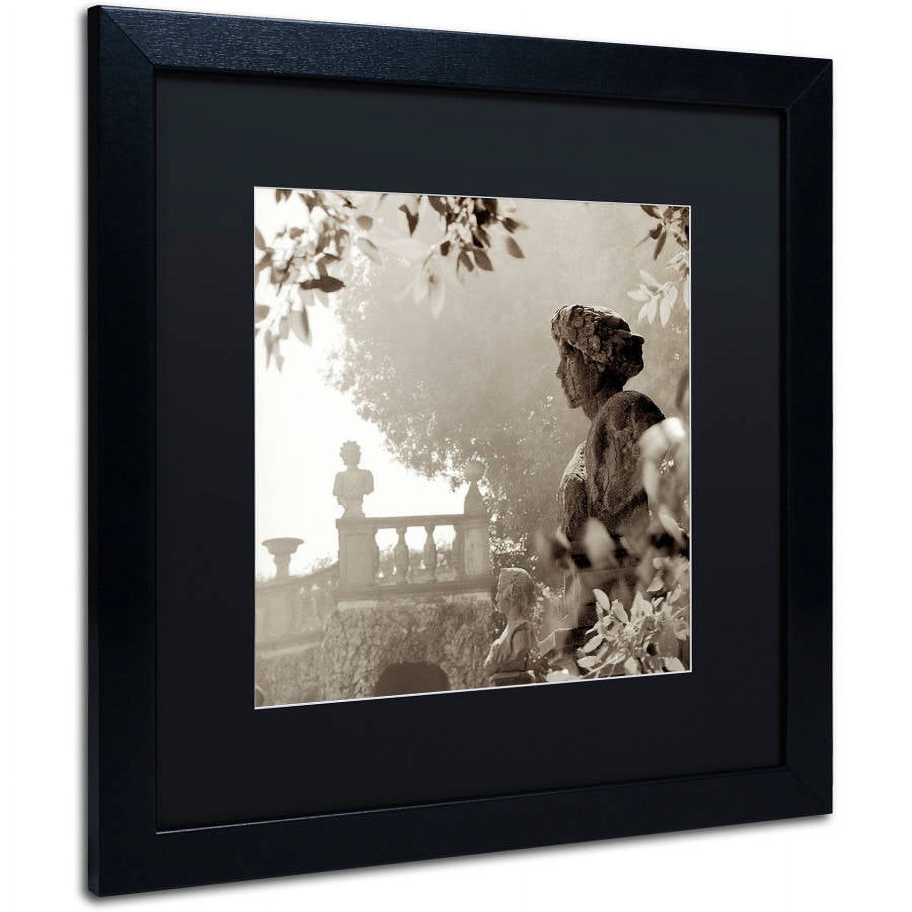 Trademark Fine Art "Tuscany VIII" Canvas Art by Alan Blaustein, Black Matte, Black Frame