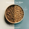 thumbnail image 3 of Good Gravy - Salmon Recipe with Ancient Grains - Adult - Dry Dog Food, 3 of 5
