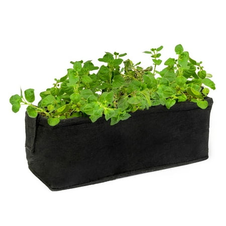 Organic Oregano Herb Garden Planter Box Kit With Soil Block