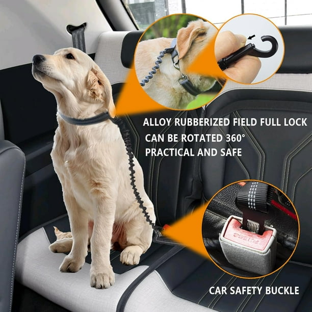 Dog leash with seat belt attachment hotsell