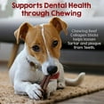 thumbnail image 4 of Riley's Premium Collagen Beef Chews for Dogs, 6 Inch, 5 ct, 4 of 9