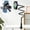 Black, variant on Flexible Gooseneck Phone Tablet Holder, 360° Rotating Lazy Mount Stand for Bed Desk,White