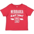 thumbnail image 3 of Inktastic Nebraska Awesome Since 1867 Boys or Girls Baby T-Shirt, 3 of 5