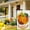 colorful_Hot#82499, variant on Last Chance Fall Welcome Garden Flag Vertical Double Sided, Pumpkin Fall Games Flag For Patio Thanksgiving Holiday Outdoor Decorations 2025 New
