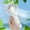 Handheld Misting Fan Under $5 a3, variant on Yannianjz Handheld Misting Fan, Portable Desktop Mute Large Mist Volume, Mini Personal Cooling Fan with Water Spray, for Outdoor, Travel, Summer