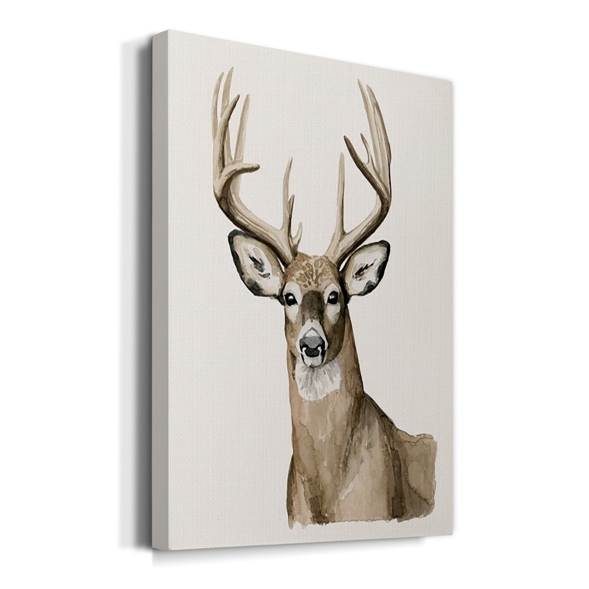 Handsome Whitetail I Premium Gallery Wrapped Canvas - Ready to Hang