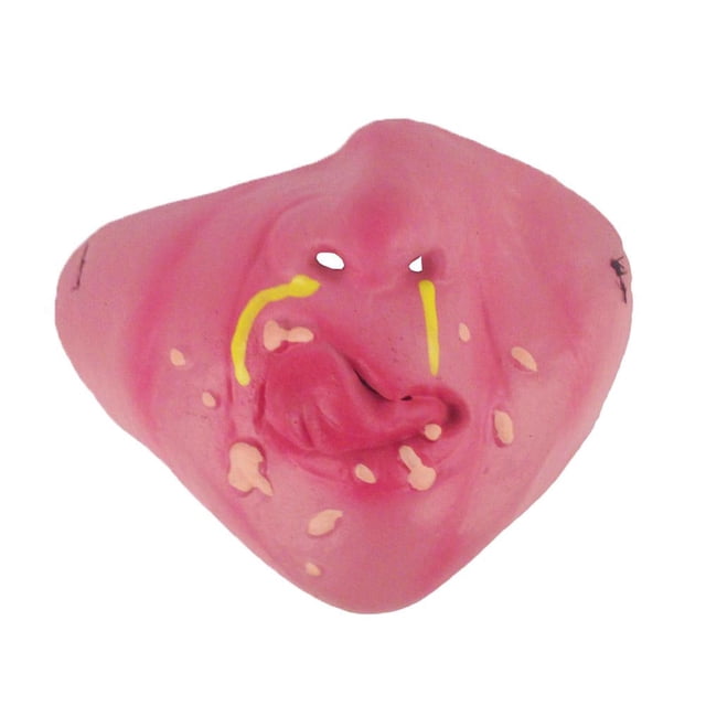 ZOUBAOQ Personalized Social Funny 3D Facial Expression Masks Women Men Prom Party Ride Breathable Mouth Face Mask Creative Printed Masks