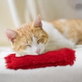 thumbnail image 4 of lionlar Cat Catnip Toy Chew Toy Entertaining Soothing Exercising Pets Accessories 2x, 4 of 9