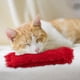 thumbnail image 4 of Cat Catnip Toy Chew Toy Entretenido Ejercicio Mascotas Accesorios 2x, 4 of 9