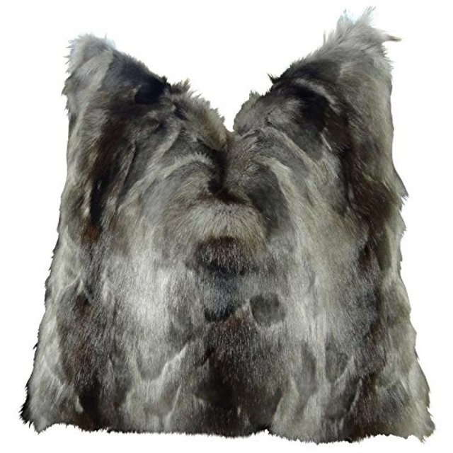 Plutus Coussin Fait Main Marque Ash, (Double Face 20 Pouces x 36 Pouces King)