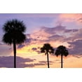 thumbnail image 2 of Alan Hausenflock 24x17 Gallery Wrapped Canvas Wall Art Titled - San Marcos Sunset IV, 2 of 4