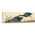 thumbnail image 1 of ARTCANVAS Blue-Winged Teal Panoramic Canvas Art Print by John James Audubon - Size: 36" x 12" (1.50" Deep), 1 of 9