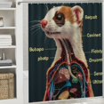 thumbnail image 6 of Orinice Ferret Bathroom Decor Set with Hooks, Colorful Luxurious Graphic Print Polyester Fabric Fashion Shower Curtain, 100% Waterproof, Easy Install 36x72, 6 of 7