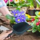 thumbnail image 1 of Milisten Herramienta De Jardinería Verde Plástica Para Excavar En Espacios Estrechos Y Trasplante, 1 of 8