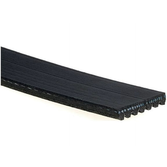 Multi Rib Belt - Compatible with 2016 - 2022 Honda Civic 2.0L 4-Cylinder GAS 2017 2018 2019 2020 2021