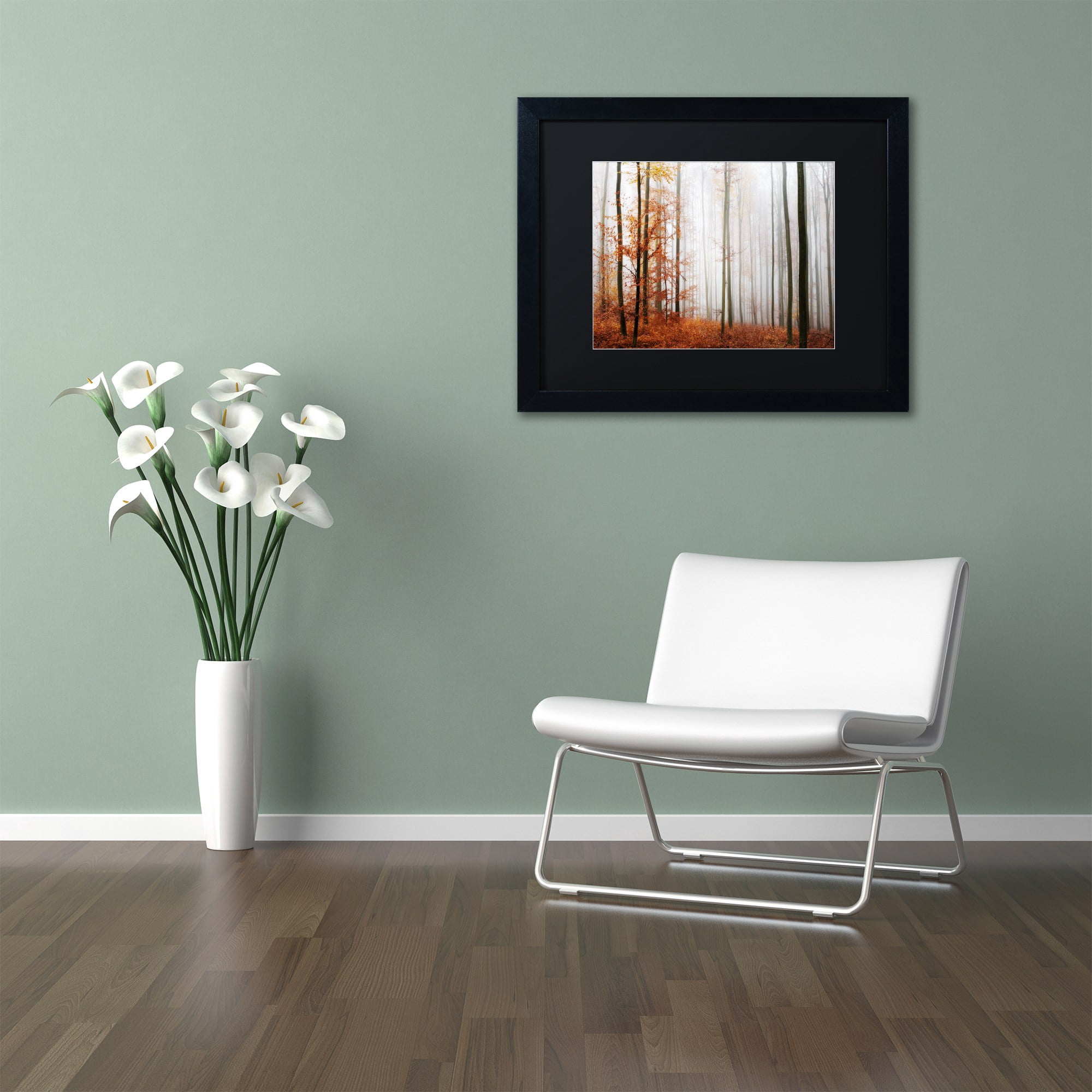 Trademark Fine Art "Forest Corner" Canvas Art by Philippe Sainte-Laudy Black Matte, Black Frame