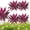4pcs, variant on Large Realistic Artificial Boston Fern & Dragon'S Blood Tree Plants, Vibrant Pink Purple Faux Plants, Uv Resistant Waterproof Artificial Ferns For Home Garden Patio Wedding Balcony Decor
