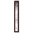 thumbnail image 2 of ArtToFrames 5" x 50" Matte mahogany Diploma Picture Frame, 5x50 inch Brown Wood Poster Frame (WOM-5108), 2 of 7