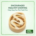 thumbnail image 4 of Wild Harvest Bake Shop Pastry Swirls Treat for Rabbits, Guinea Pigs, Chinchillas, Hamsters, Gerbils and Rats, 2 oz., 4 of 9