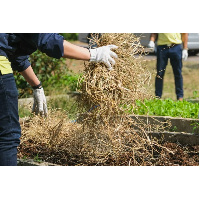 Ez Straw Seeding Mulch For Chickens edu.svet.gob.gt