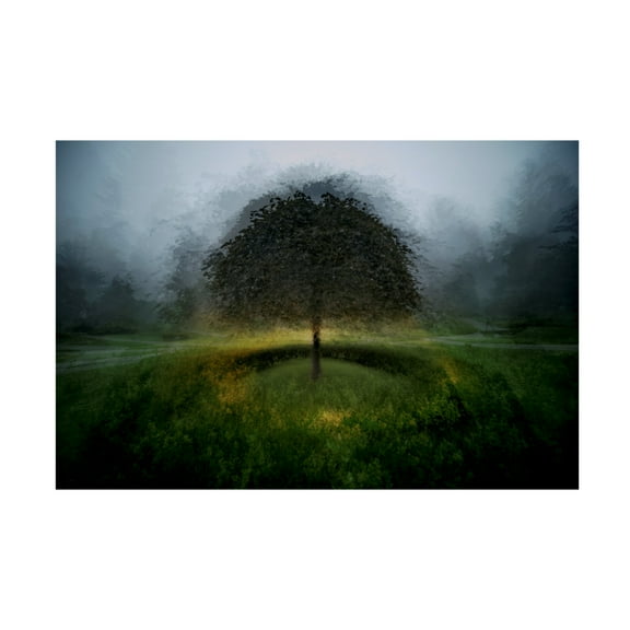 Canvas Wall Art - Katarina Holmstrom 'Eden Place' Wall Art for Living Room, Bedroom, or Office Décor by Trademark Fine Art - 19 x 12 Inches
