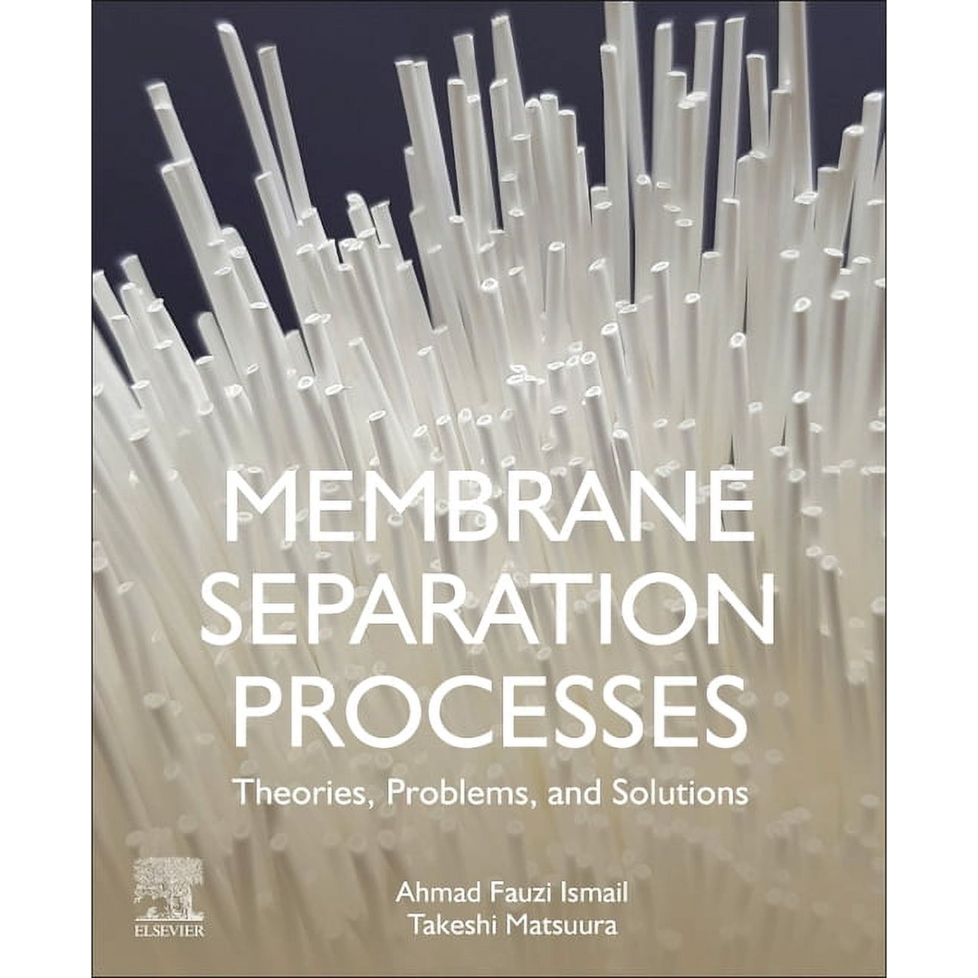 Membrane Separation Processes: Theories Problems and Solutions (Paperback)
