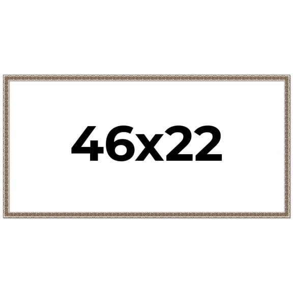 46x22 Frame Silver Versailles Ornate Solid Wood Picture Frame | 1 Inch Moulding Width | Interior