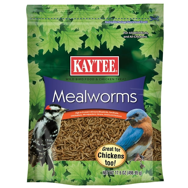 alimento para pájaros silvestres kaytee mealworms, 500 ml, para pájaros azules y más Bolsa frontal con fondo de hojas verdes y logotipo Kaytee; ventana que muestra gusanos de la harina secos; ilustraciones de un pájaro carpintero moteado a la izquierda y un pájaro azul rojizo a la derecha; indicado para atraer y alimentar aves silvestres y polluelos, se puede ofrecer en comedero o mezclar con semillas; 500 ml. A menudo usado como suplemento energético para alimentar aves insectívoras durante el verano.