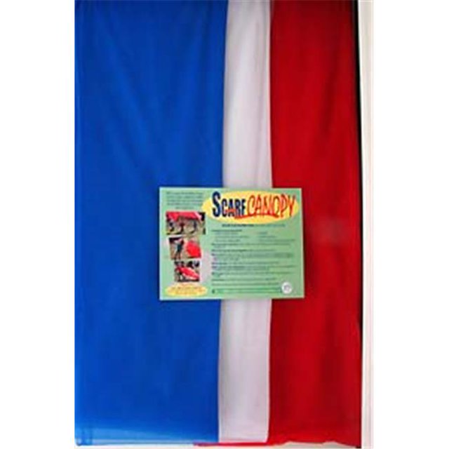 SCIDCANRWB Idées d'Éducation Artistique Kit de Baldaquin Patriotique