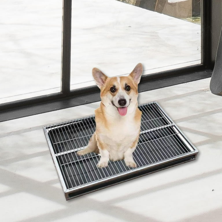 Hondentoilet Honden Zindelijkheidstraining Pads Anti-spatten Herbruikbare kattenbakbak Trainer kopen vanaf een prijs van 26