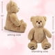 thumbnail image 2 of Oso de peluche LotFancy, marrón, 30 cm, regalo para niños, 2 of 7