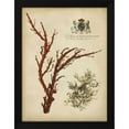 thumbnail image 2 of Vision Studio 12x14 Black Modern Wood Framed Wall Art Titled - Imperial Coral I, 2 of 6